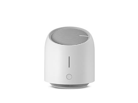 Air purifiers can do the following