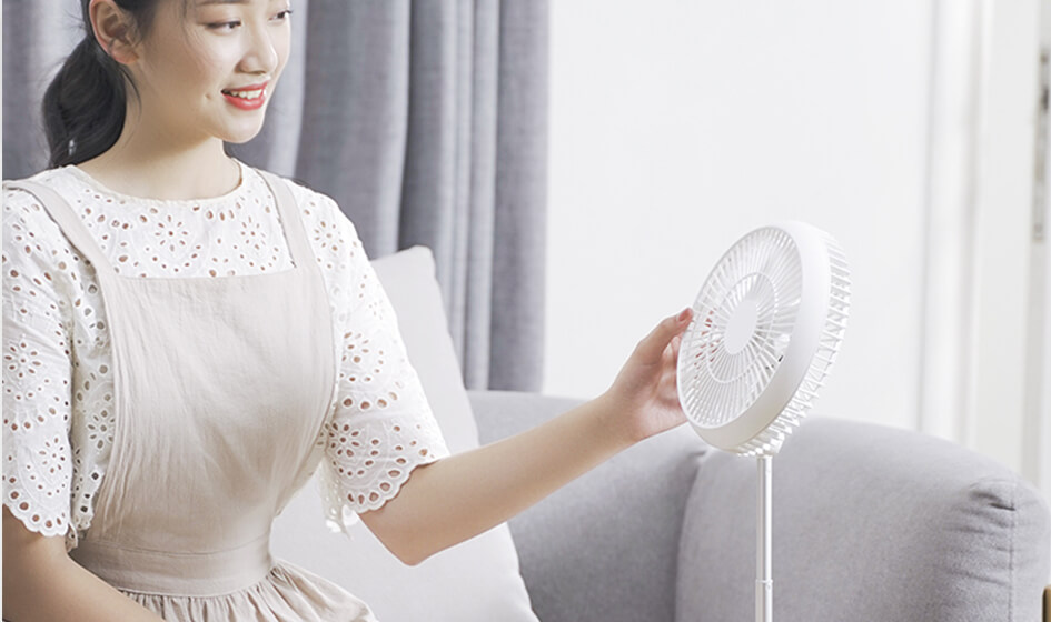 electric fan manufacturer