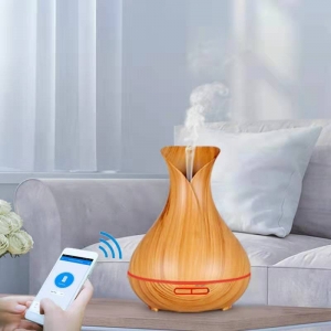 aromatherapy diffuser Processing