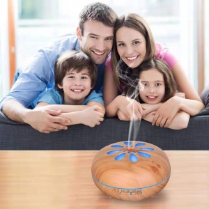 aromatherapy diffuser Processor