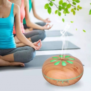 aromatherapy diffuser price